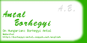 antal borhegyi business card